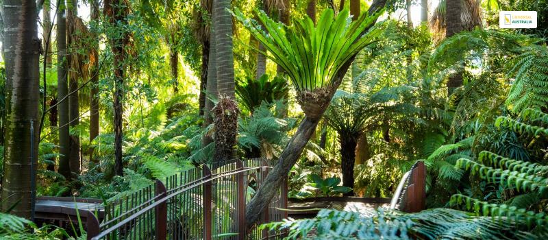 Find Peace At The Royal Botanic Gardens Victoria