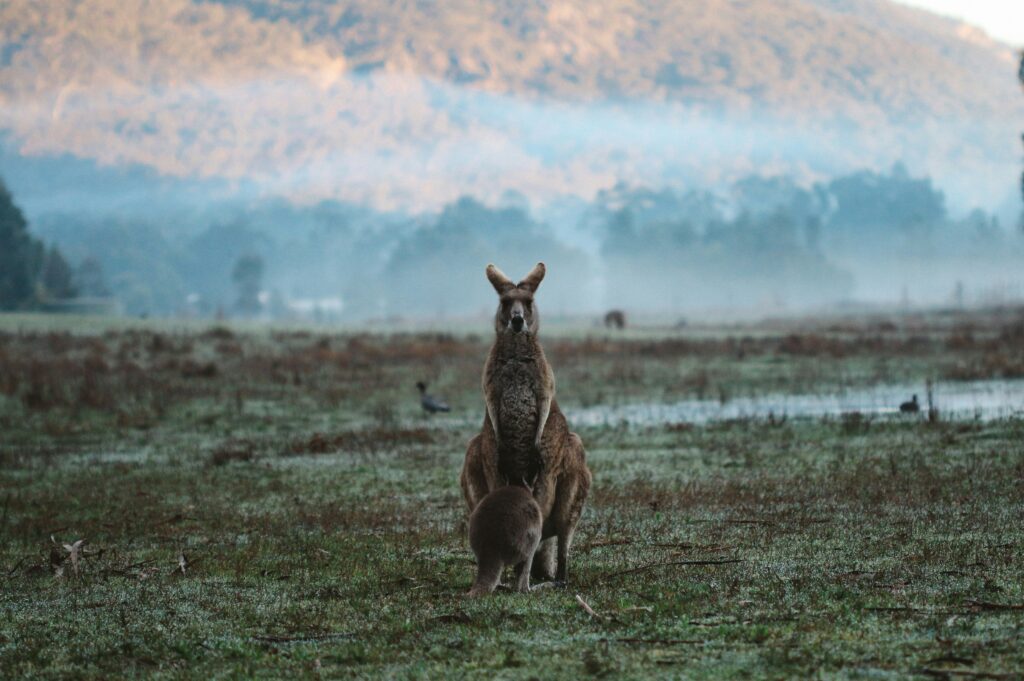 Grampians National Park